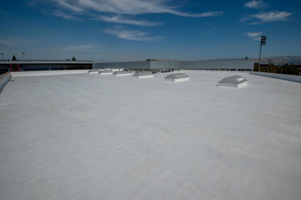 Best Roof Moss and Algae Removal  in Honokaa, HI