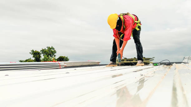 Best Cold Roofs  in Honokaa, HI