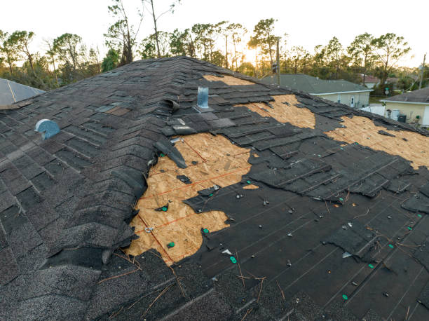 Best Asphalt Shingle Roofing  in Honokaa, HI